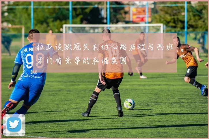 拉亚谈欧冠失利的心路历程与西班牙门将竞争的和谐氛围